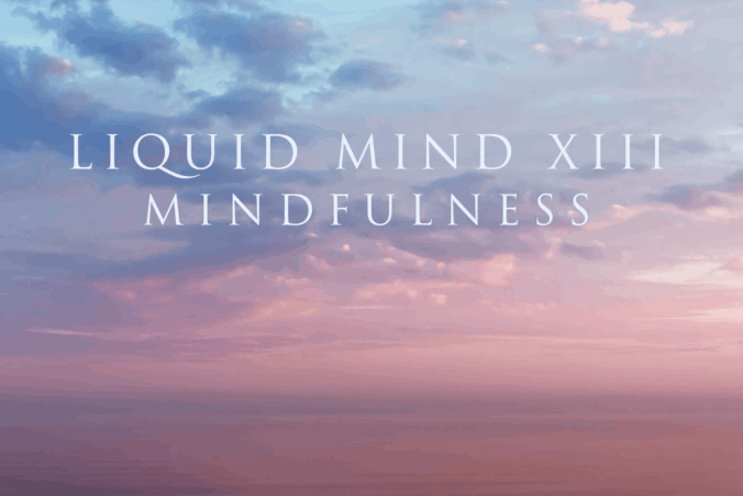 Liquid Mind XIII: Mindfulness